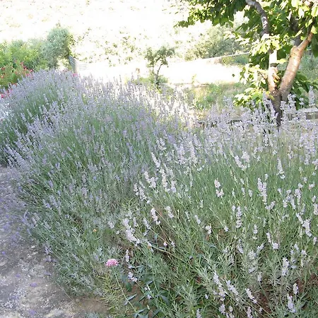 Logis Restaurant Les Geraniums Hotel Le Barroux